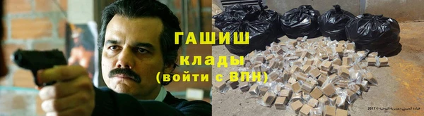 мдпв Козельск