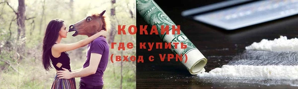 мдпв Козельск
