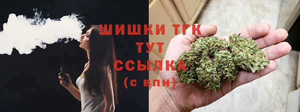 мдпв Козельск