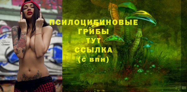 дмт Кодинск