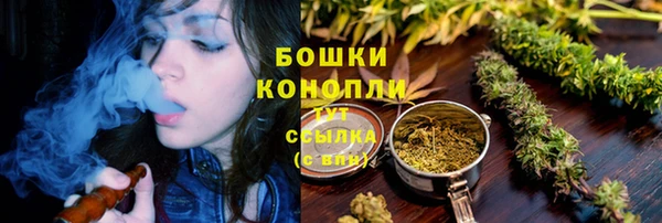 mdpv Козловка
