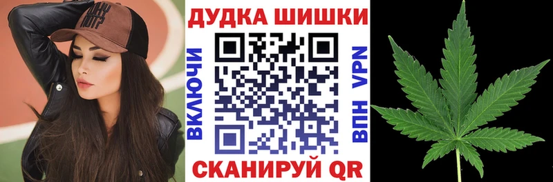 Купить  Гвардейск  Каннабис план 